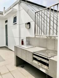 Suites @ Bukit Timah (D21), Apartment #573947621